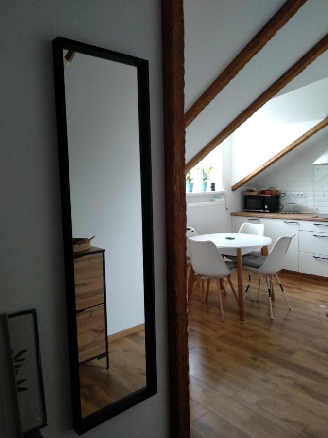Old Town Loft Apartments 卡缅涅茨-波多利斯基 外观 照片