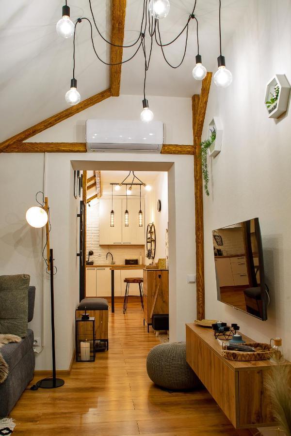 Old Town Loft Apartments 卡缅涅茨-波多利斯基 外观 照片